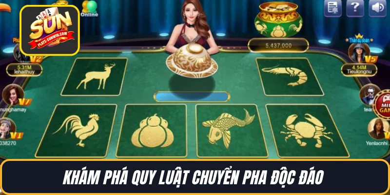 Khám phá quy luật chuyển pha độc đáo 